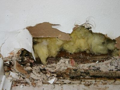 About Pinnlyra Arch - water damage restoration experts in South Gate