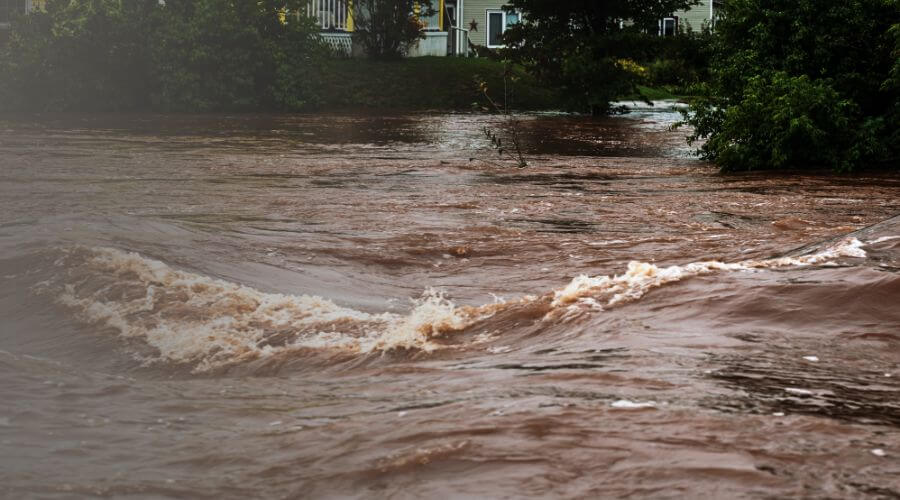 Why choose Pinnlyra Arch for water damage restoration in South Gate